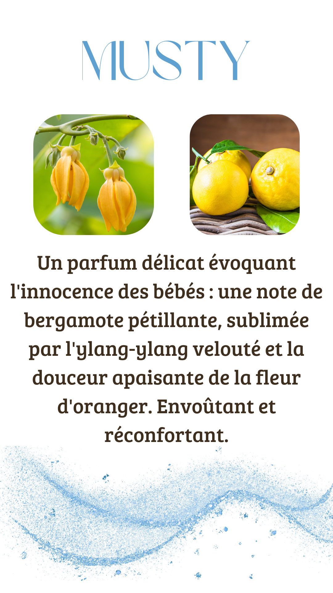 Palet parfumé